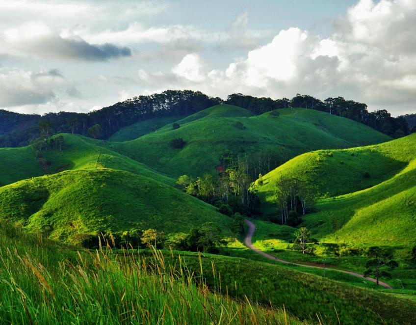 Rosecliffe Farm Cottages Pomona 외부 사진
