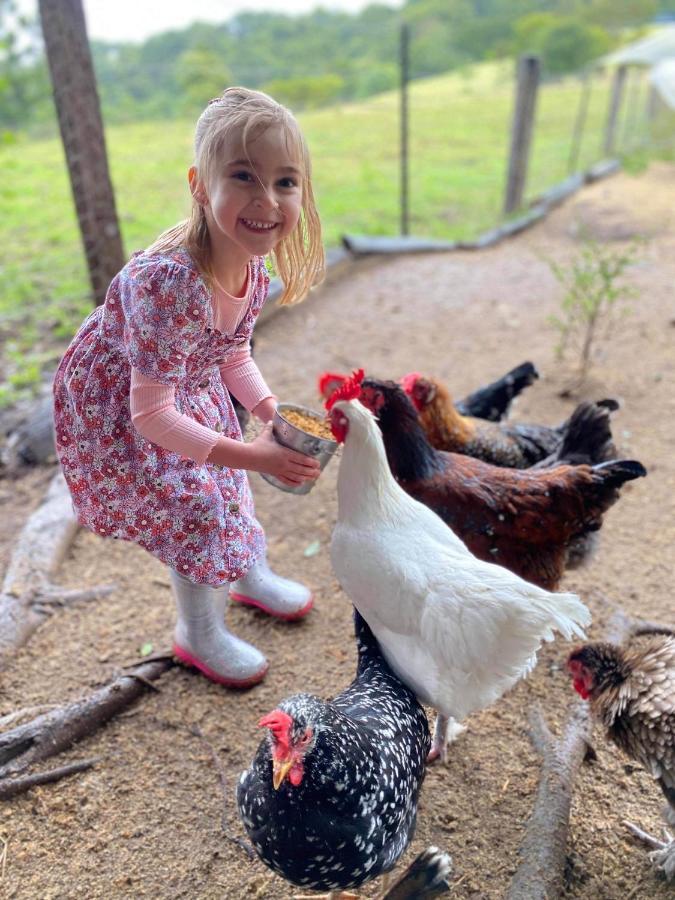 Rosecliffe Farm Cottages Pomona 외부 사진