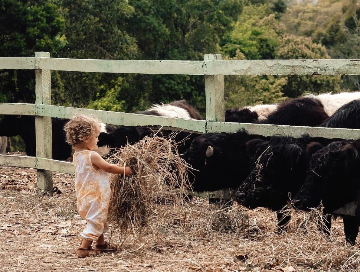 Rosecliffe Boutique Farm Cottages Pomona 외부 사진