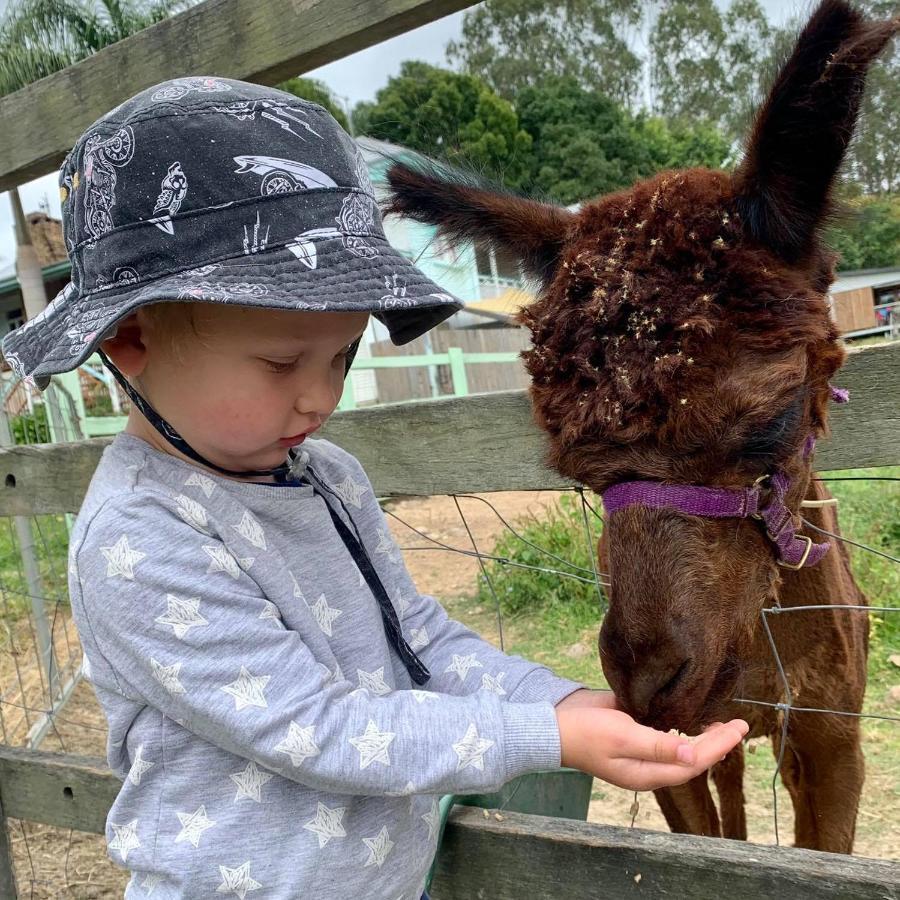 Rosecliffe Farm Cottages Pomona 외부 사진